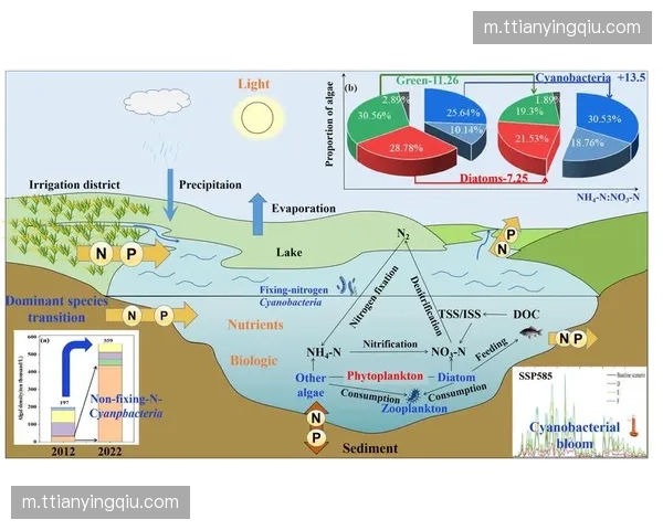 越南女足主场河内国家体育场作战，地理气候适应成其优势